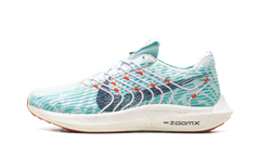 Pegasus Turbo Next Nature Wmns"Jade Ice" DM3414 300