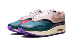 AIR MAX 1 () WMNS"Plum Fog Fossil Rose" DV2301 501
