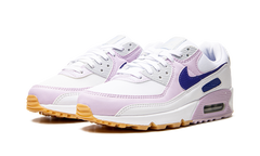 AIR MAX 90 WMNS DX3316 100