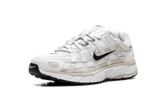 P-6000 WMNS"Light Orewood Brown" FQ2767 100