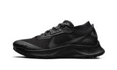 Pegasus Trail 3 Gore-Tex Wmns"Black" DC8794 001