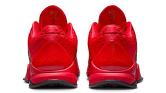 Kobe 5 Protro Year of the Mamba University Red