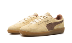 Palermo OG "Chamomile Brown Mushroom" 397251 01