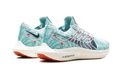 Pegasus Turbo Next Nature Wmns"Jade Ice" DM3414 300