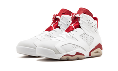 6 Retro "Alternate" 384664 113
