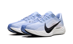 Pegasus Plus WMNS"Aluminum/Black-Royal Pulse" FQ7261 402